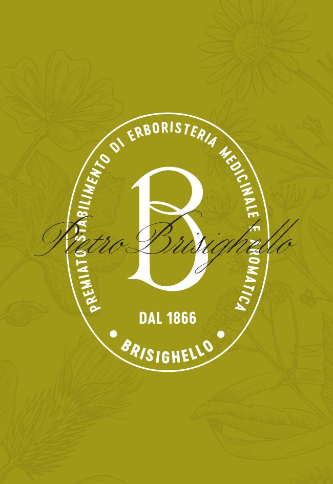 Biglietto da visita Brisighello, fronte con il sigillo su fondo verde oliva