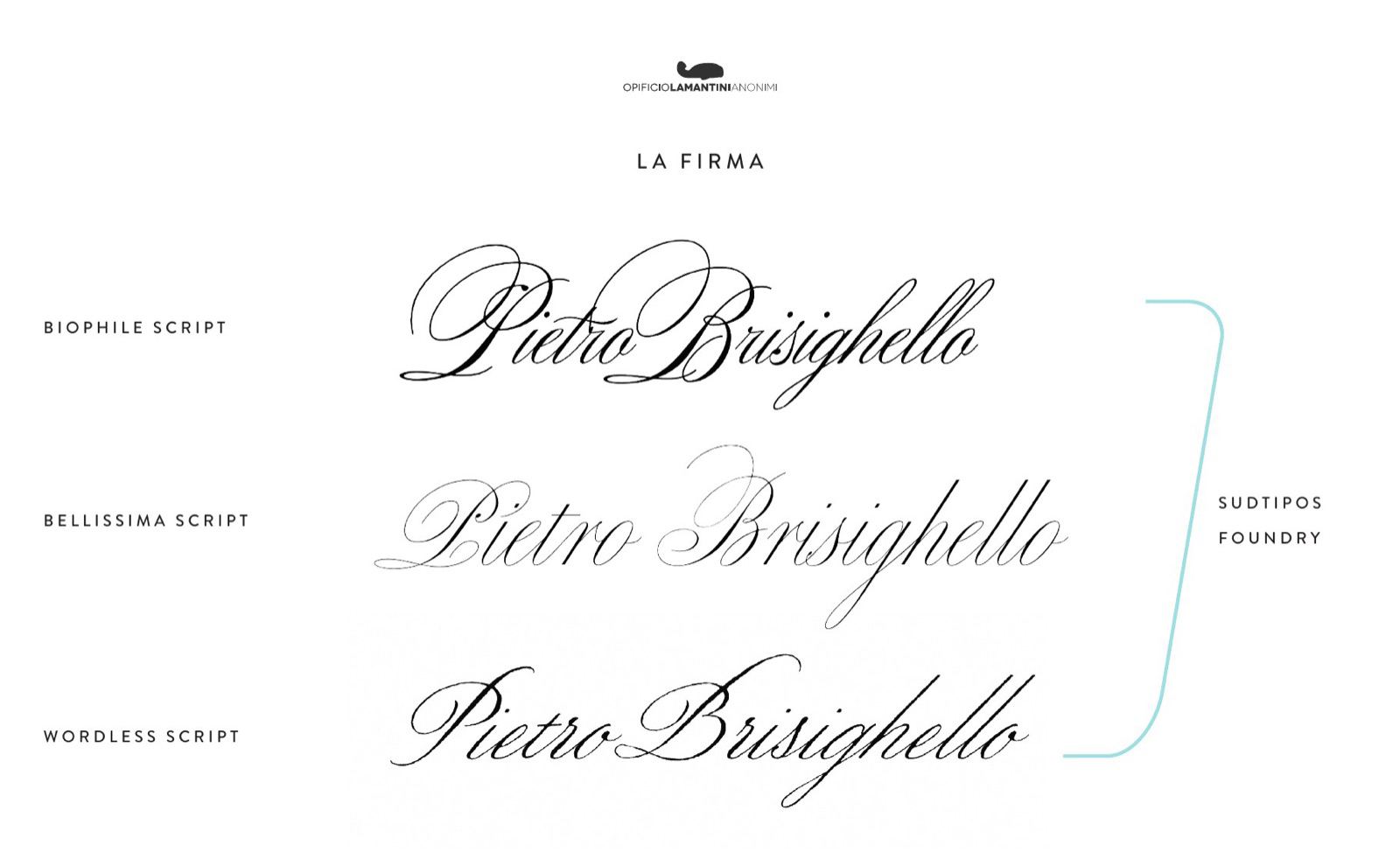 Slide sulla firma: tre caratteri corsivi a confronto per il nome Pietro Brisighello