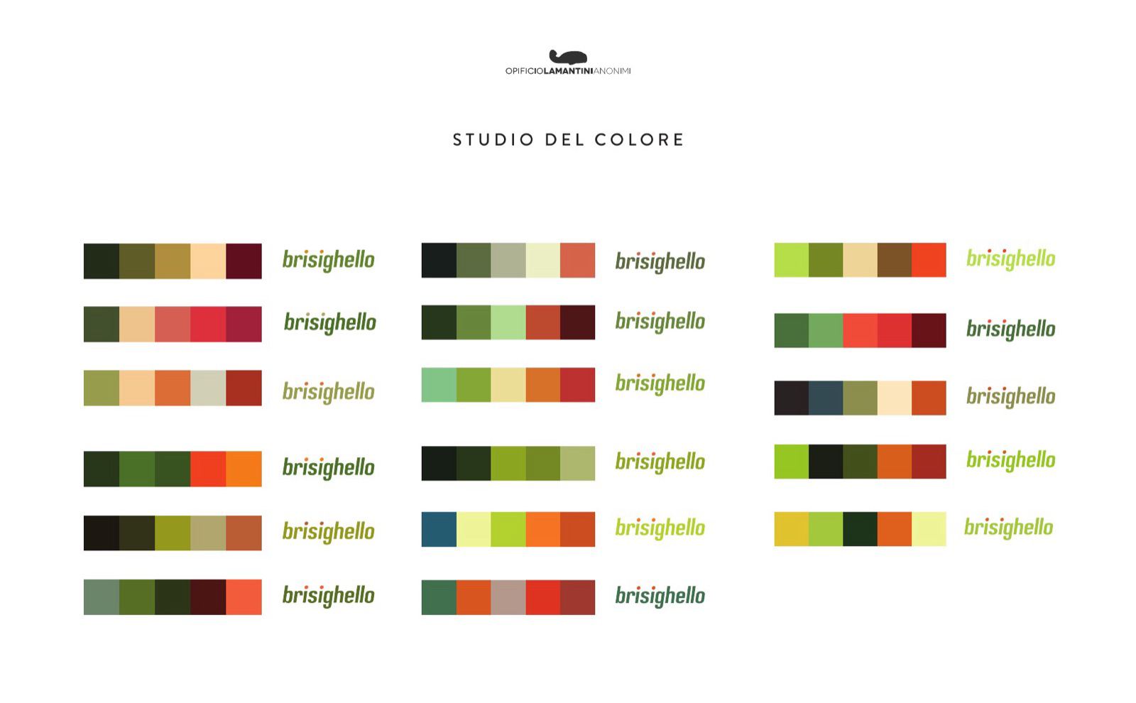 Slide dello studio del colore: griglia di combinazioni cromatiche per il marchio