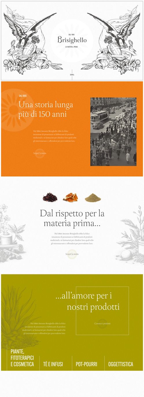 Sito brisighello.it, home page con l’illustrazione incisa in apertura