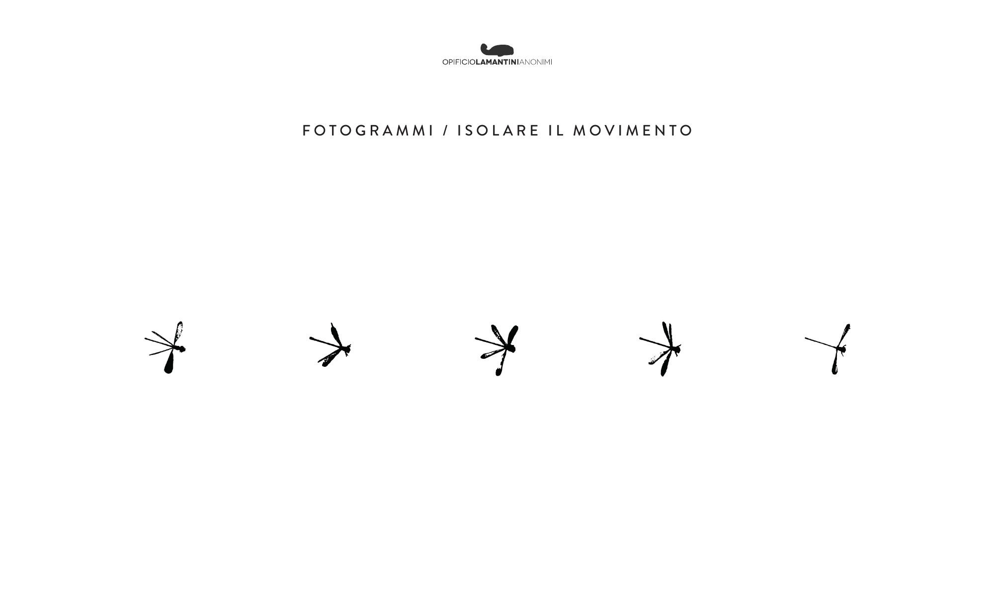 Slide Fotogrammi, isolare il movimento: cinque pose della libellula in fila