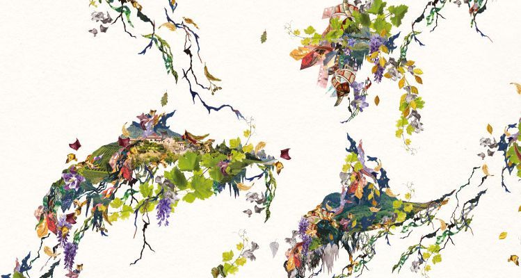 Il visual 2018 dell’Euganea Film Festival, illustrazione di Elisa Vendramin