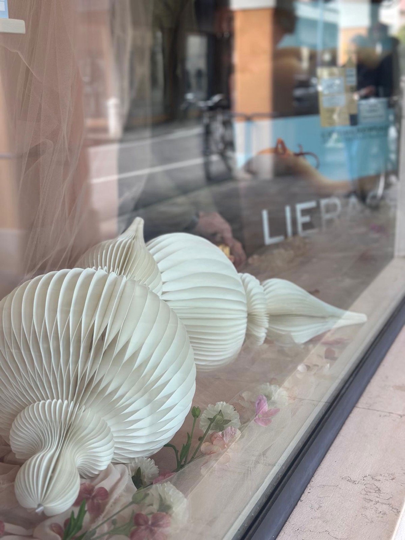 Vetrina di una farmacia allestita con conchiglie e fiori