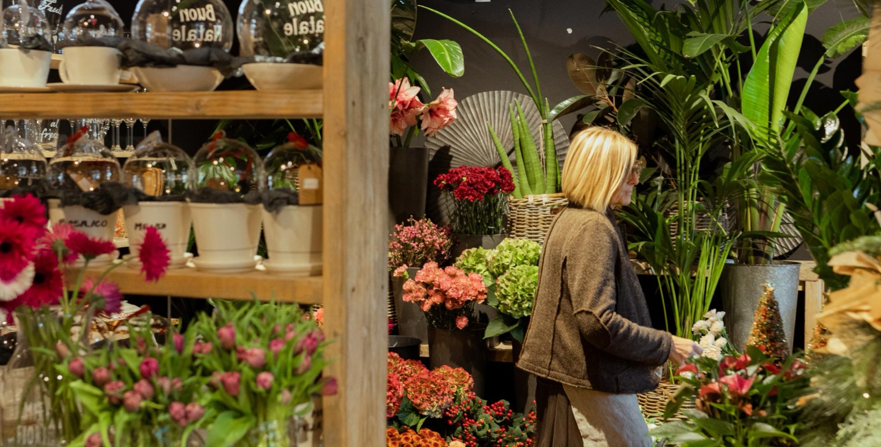 Interno della fioreria Il Giardino dei Desideri, fra piante e banchi di fiori