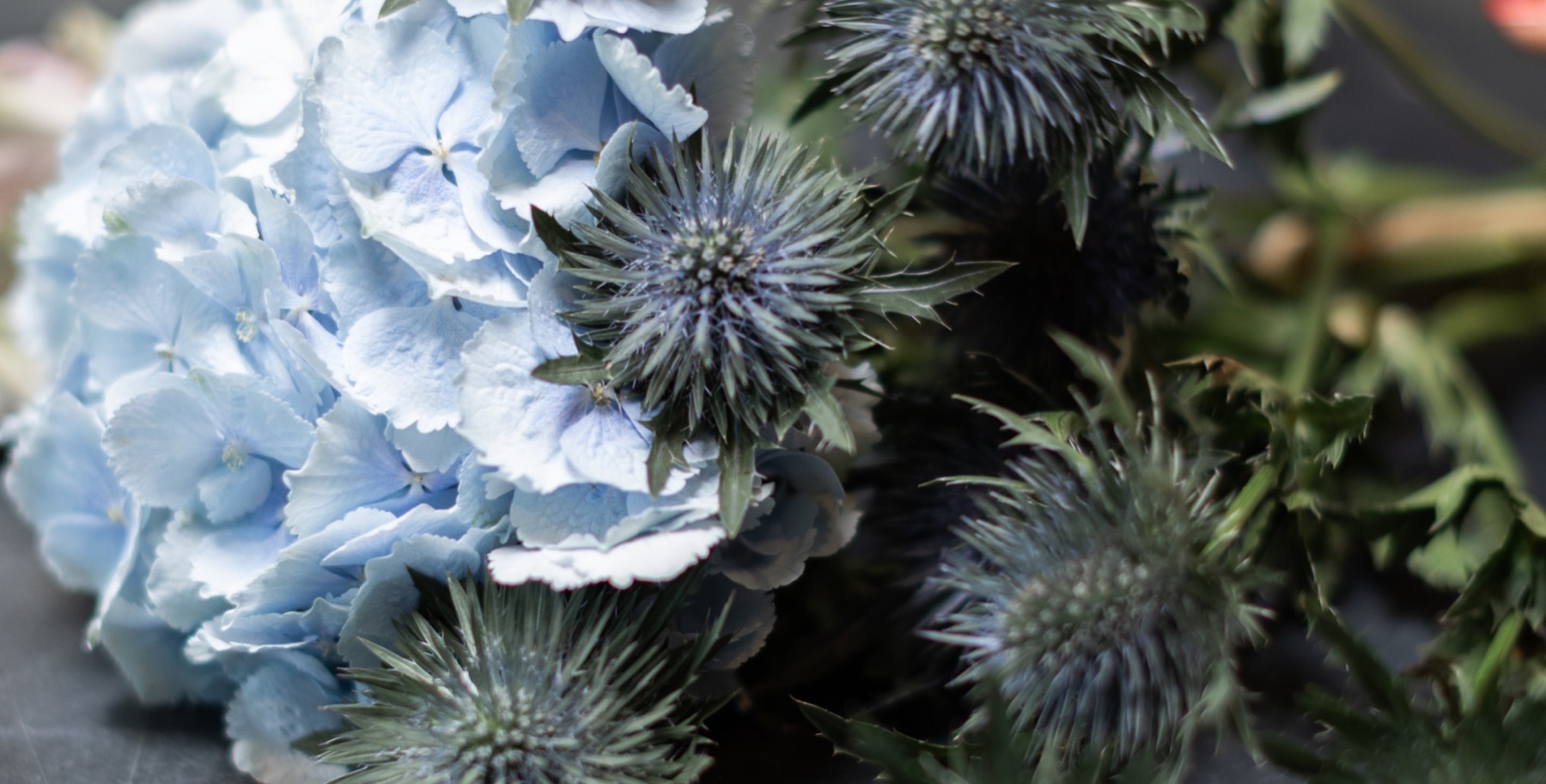 Dettaglio di un bouquet di ortensie azzurre e cardi
