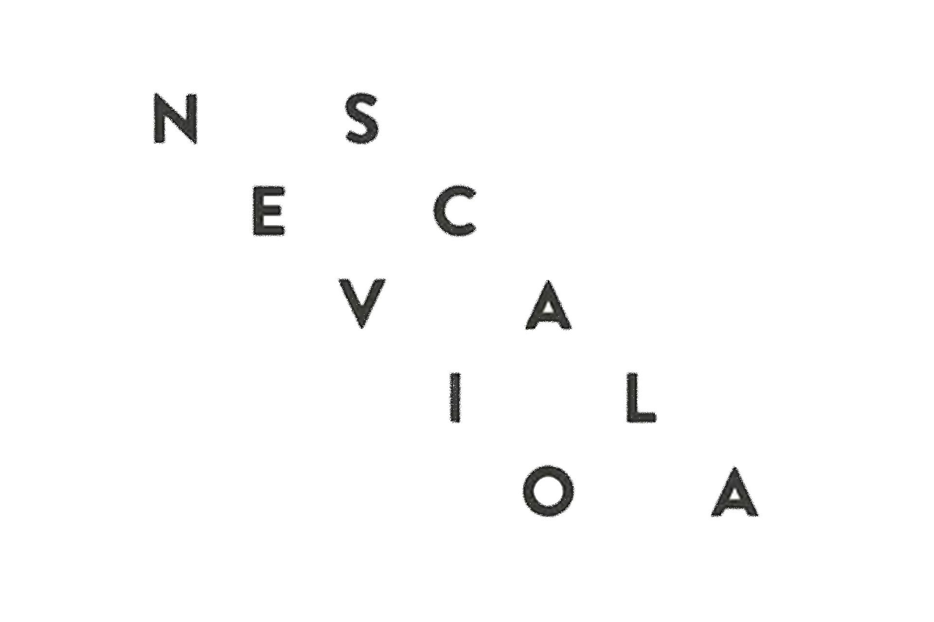 Il logo Nevio Scala: le lettere di NEVIO e SCALA alternate e disposte in diagonale, come i gradini di una scala