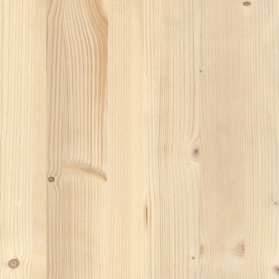 Campione di legno: abete