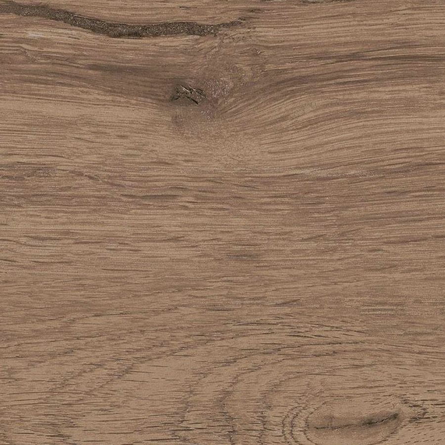 Campione di legno: castagno