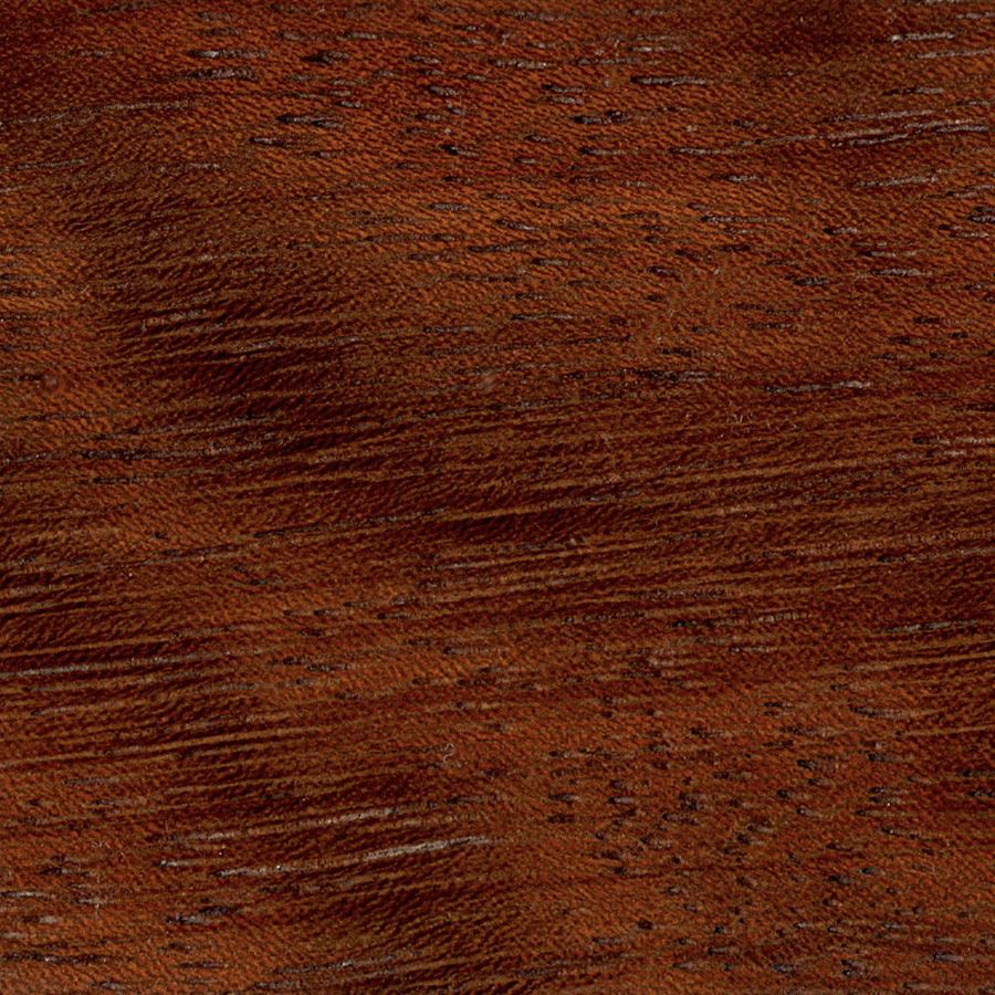 Campione di legno: iroko