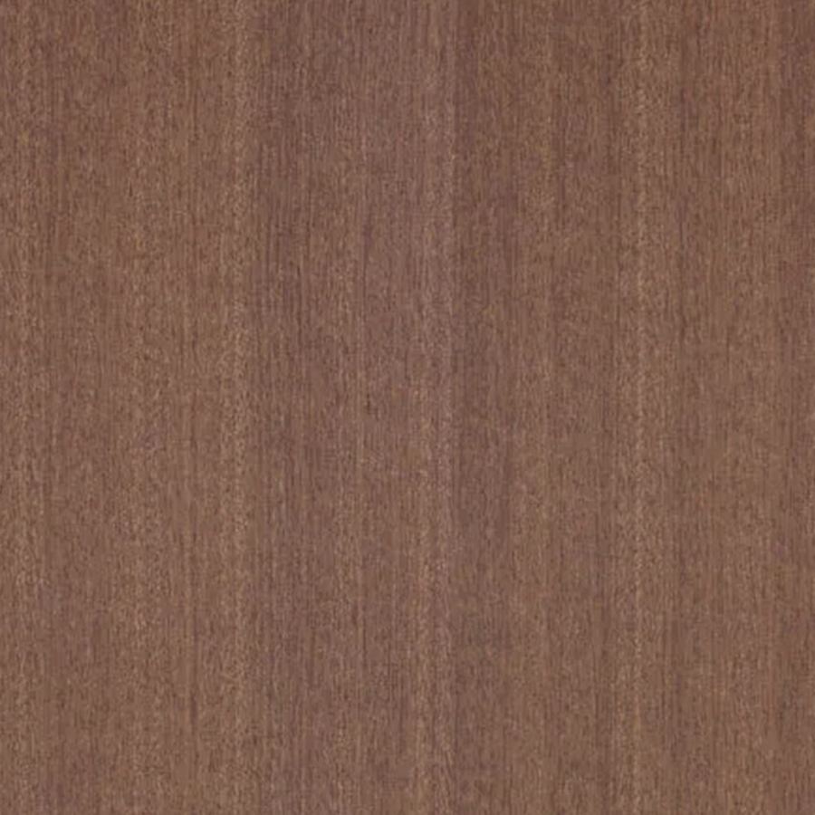 Campione di legno: mogano