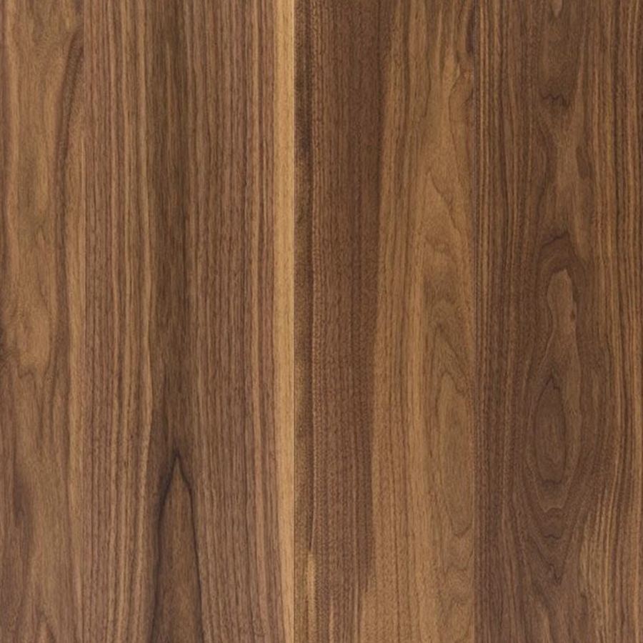 Campione di legno: noce nazionale