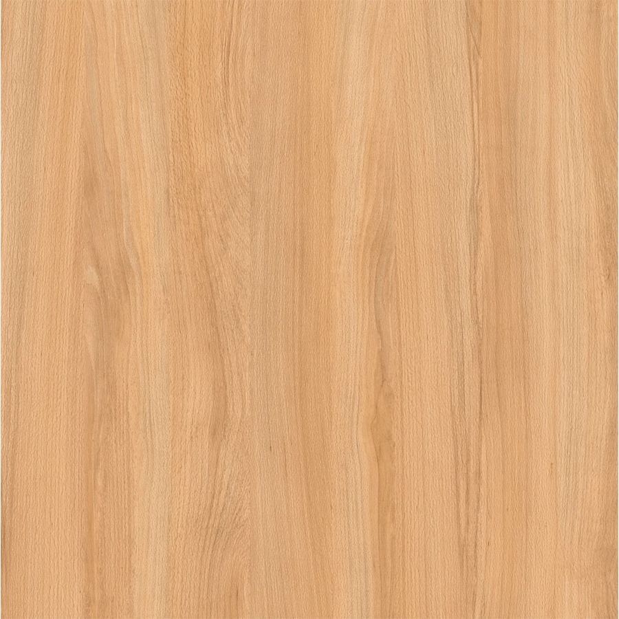 Campione di legno: rovere