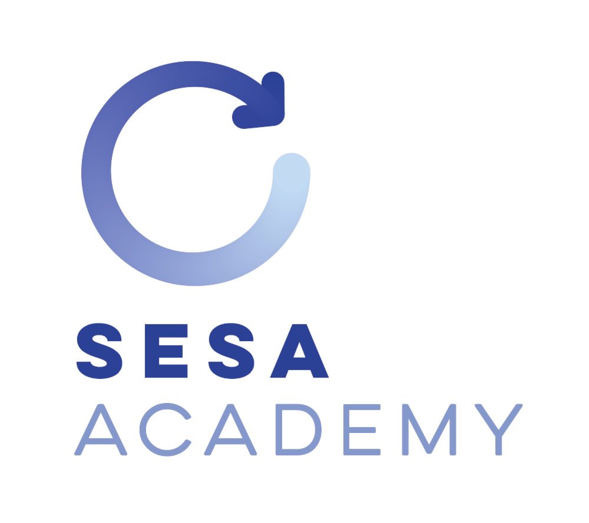 Marchio S.E.S.A. Academy in versione verticale