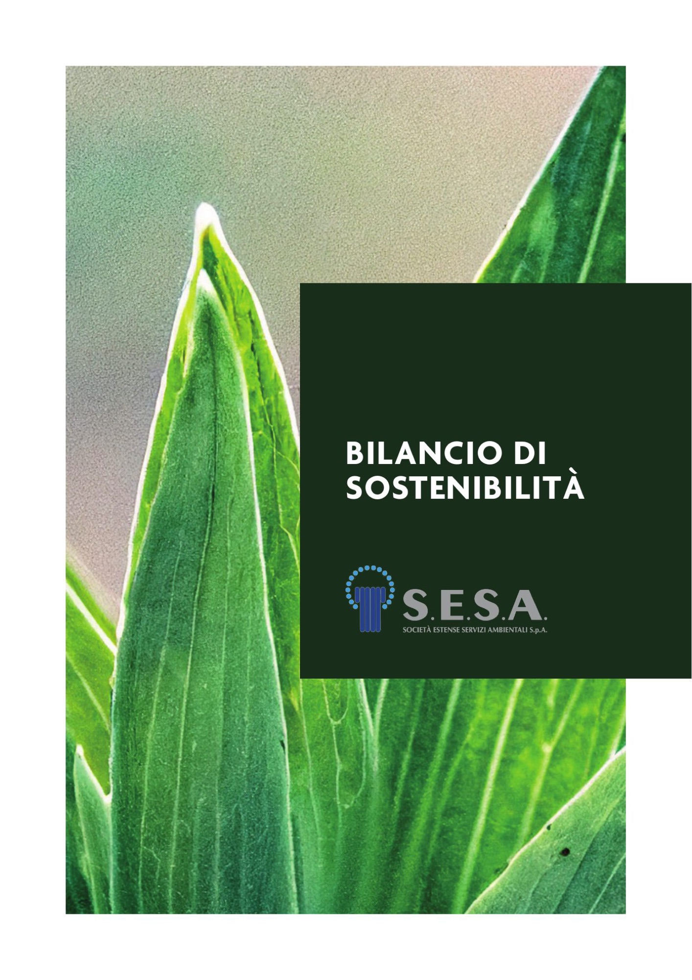 Copertina di un’altra edizione del bilancio di sostenibilità S.E.S.A.