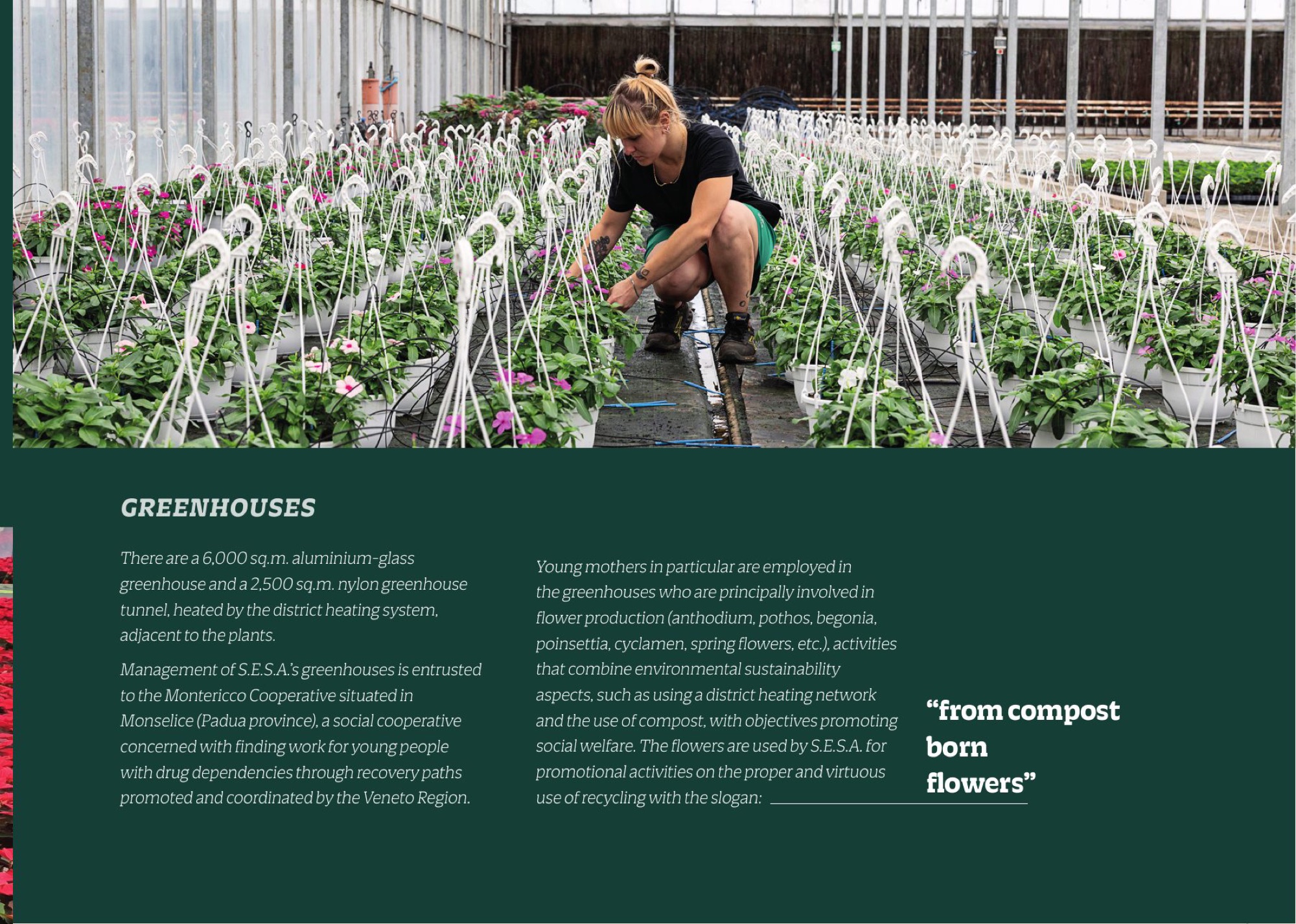 Company profile S.E.S.A.: le serre