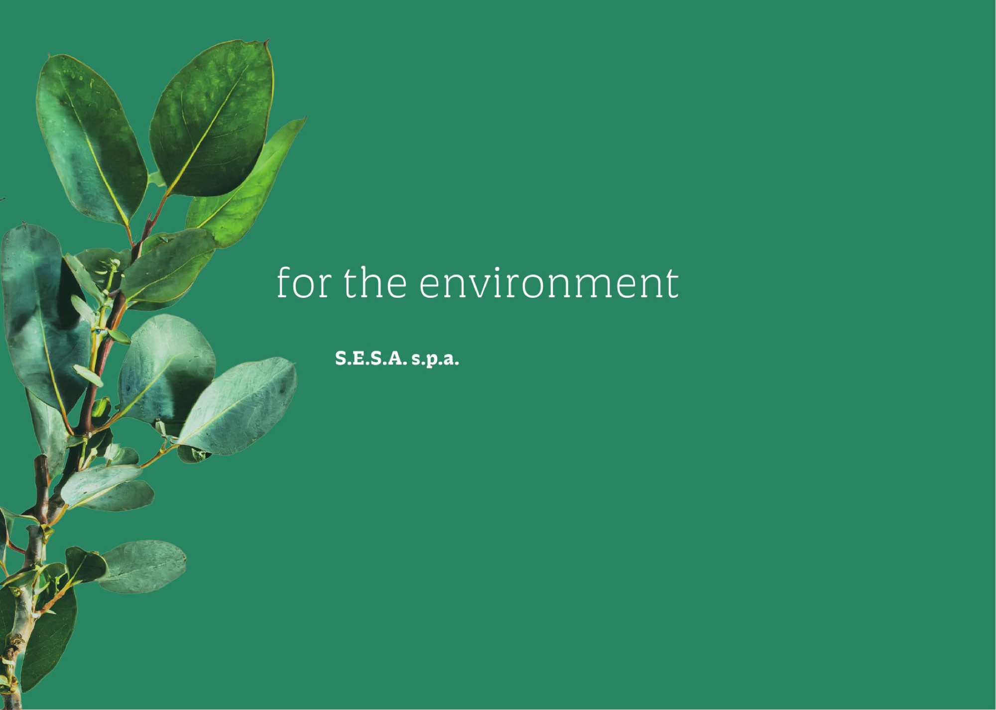 Company profile S.E.S.A., pagina di apertura: technology for the environment