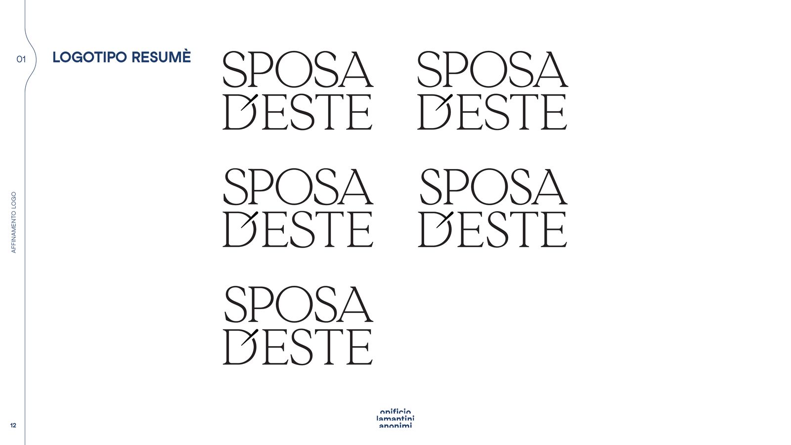 Slide riassuntiva con tutte le versioni del logotipo